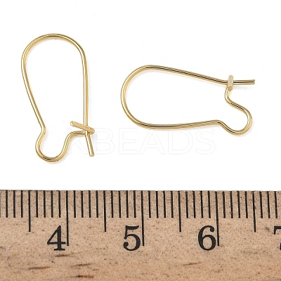 Brass Hoop Earring Findings KK-F824-009G-1
