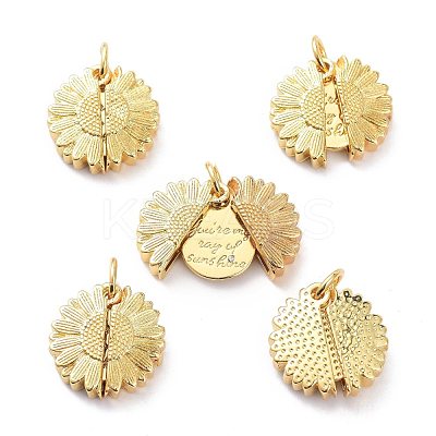 Brass Micro Pave Clear Cubic Zirconia Openable Pendants KK-D004-14G-1