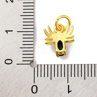 Rack Plating Brass Micro Pave Cubic Zirconia Charms KK-F881-02G-08-1