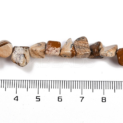 Natural Picture Jasper Nuggets Beads Strands G-B125-A10-01-1