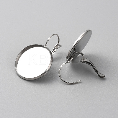 304 Stainless Steel Hoop Earring Findings LS-STAS-WH0001-17D-P-1