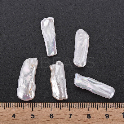 Natural Biwa Pearl Beads PEAR-N020-H01-1