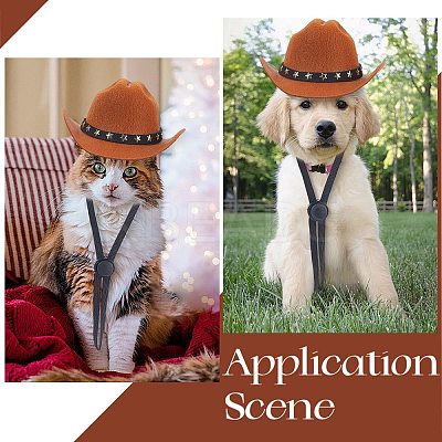 Felt Pet Cowboy Hat AJEW-WH20070-131C-1