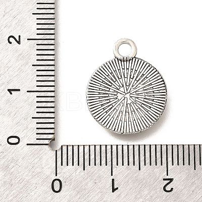 Tibetan Style Alloy Pendants PALLOY-D291-16AS-1