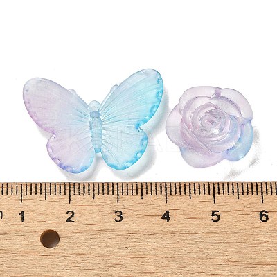 Transparent Acrylic Beads OACR-H039-04E-1