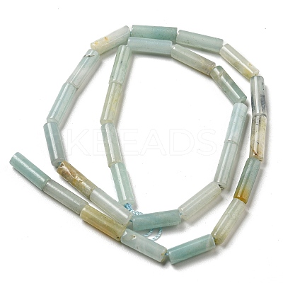 Natural Flower Amazonite Beads Strands G-G006-A03-01-1