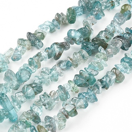 Natural Apatite Beads Strands G-F666-01B-01-1