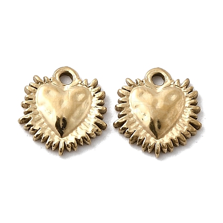 304 Stainless Steel Charms X-STAS-A127-02G-1