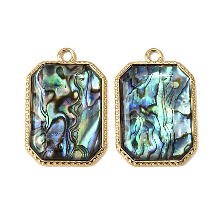 304 Stainless Steel & Natural Paua Shell Pendants SH-CBA7184-01C-G-1