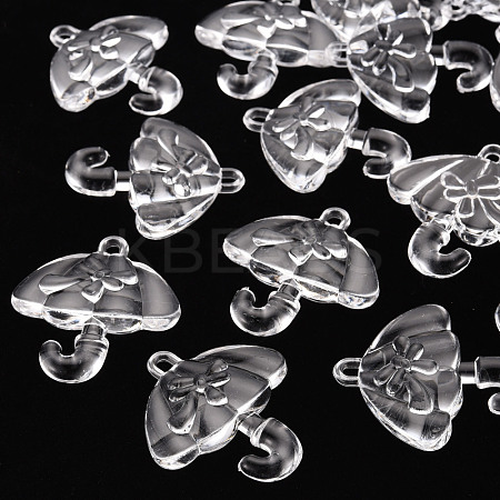 Transparent Acrylic Pendants TACR-T024-01B-205-1