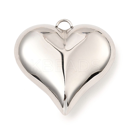 Non-Tarnish 304 Stainless Steel Pendants X-STAS-A089-01B-P-1