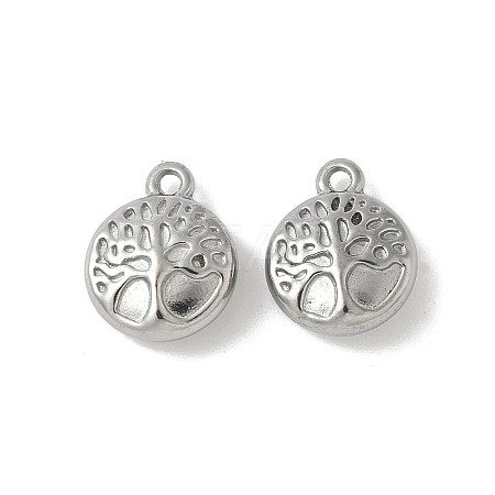 304 Stainless Steel Charms STAS-F320-02A-P-1
