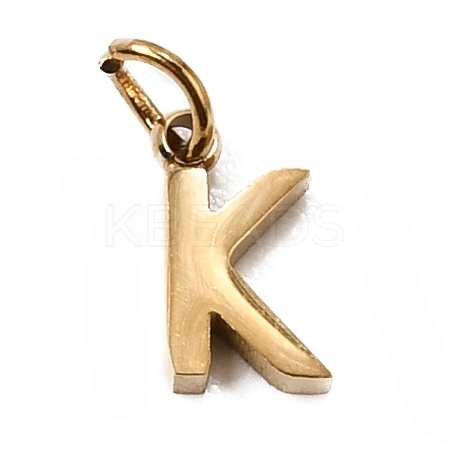 304 Stainless Steel Charms SA-CBABF3F-01G-K-1