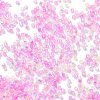 Transparent Colours Glass Seed Beads SEED-H003-01L-3