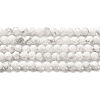 Natural Howlite Beads Strands X-G-E608-A01-B-1