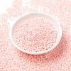MIYUKI Round Rocailles Beads SEED-X0055-RR0427-2