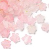 Frosted Acrylic Charms OACR-M023-04J-1