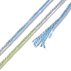 10 Skeins 6-Ply Polyester Embroidery Floss OCOR-K006-A32-3
