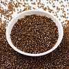 Cylinder Seed Beads SEED-H001-G17-3
