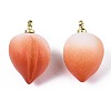 Opaque Resin Pendants RESI-T051-09B-3