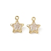 Brass Pave Clear Cubic Zirconia Charms CU-CBAD360-03G-03-1
