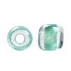 6/0 Glass Seed Beads SEED-A015-4mm-2219-3