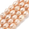 Natural Cultured Freshwater Pearl Beads Strands PEAR-P062-13B-2