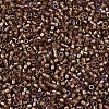MIYUKI Delica Beads SEED-MY11-DB1759-3