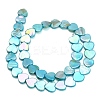 Natural Freshwater Shell Beads Strands SH-CBA93AD-06A-3