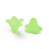 Transparent Acrylic Beads PLF018-05-5