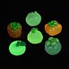 Luminous Transparent Resin Cabochons RESI-K043-27-1