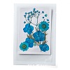 Pressed Dried Flowers DIY-F076-01A-1