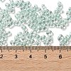 Glass Seed Beads SEED-L011-05B-14-4