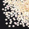 Shining Nail Art Glitter MRMJ-T017-04J-2