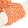Baking Paint Transparent Glass Beads Strands DGLA-F029-J2mm-03-1