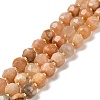 Natural Sunstone Beads Strands G-P508-A21-01-1