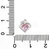 S925 Sterling Silver with Cubic Zirconia Charms STER-Q006-05B-S-3