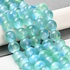 Natural Selenite Beads Strands G-P493-03C-2