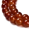 Dyed Natural Carnelian Beads Strands G-G203-10N-14mm-4
