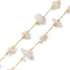 Rosary Bead Necklaces NJEW-JN04883-5