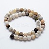 Natural Bamboo Leaf Agate Beads Strands G-I199-13-6mm-2