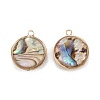 Natural Paua Shell Pendants KK-K252-06G-02-1