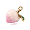 Alloy Enamel Pendants ENAM-D303-07G-01-2