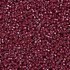 MIYUKI Delica Beads X-SEED-J020-DB0654-3