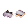 Natural Druzy Agate M Shape Link/Connector Charms G-T144-65-2