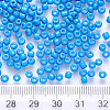 6/0 Baking Paint Glass Round Seed Beads SEED-S036-01C-11-3