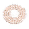 Electroplate Glass Beads Strands EGLA-A044-P3mm-A05-3
