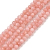 Natural Freshwater Shell Dyed Beads Strands SHEL-R100-12A-03-1