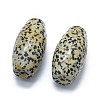 Natural Dalmatian Jasper Two Half Drilled Holes Beads G-G795-11-13-2