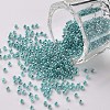 12/0 Grade A Round Glass Seed Beads SEED-N001-B-920-1